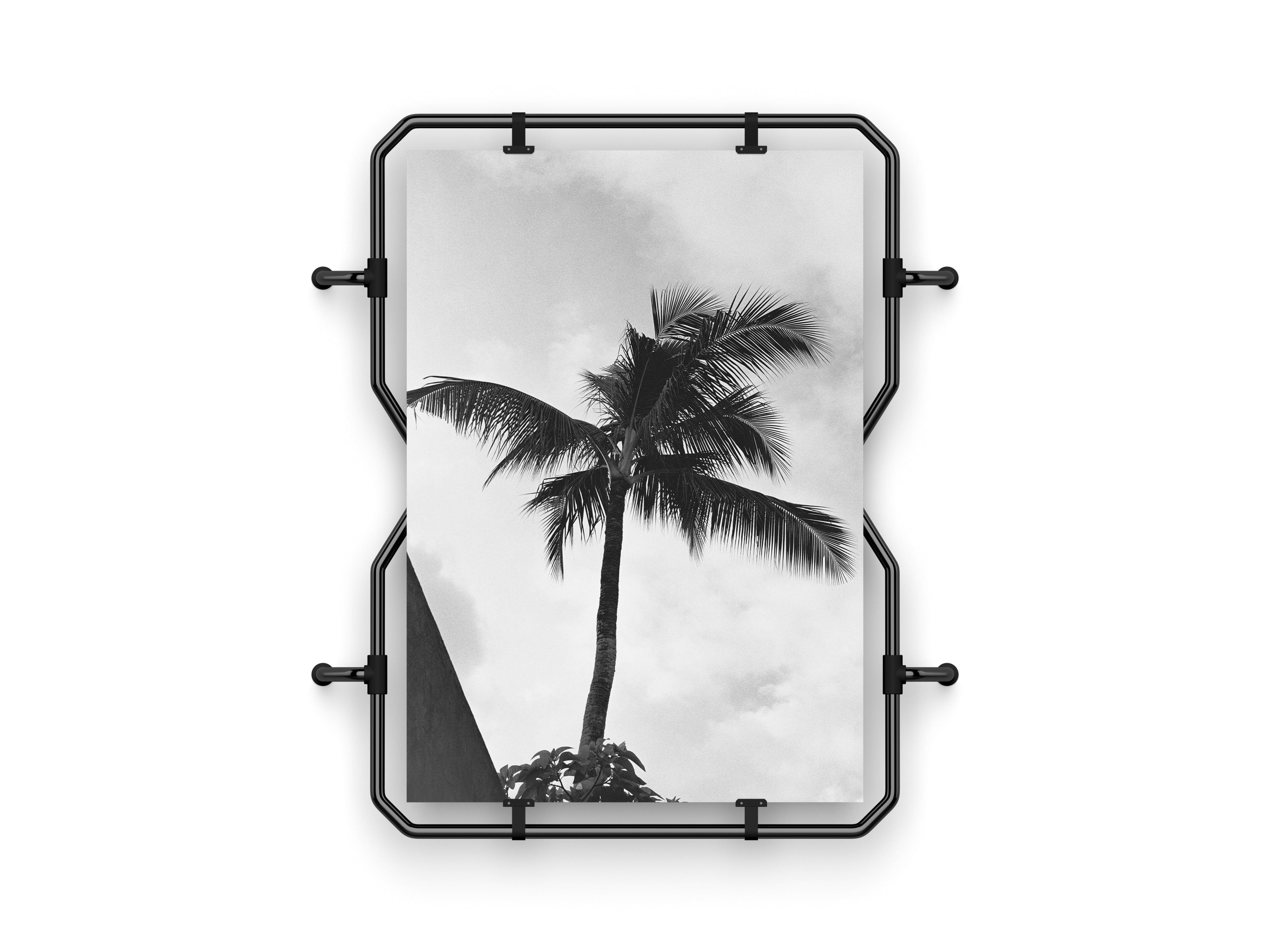 Analogue Print | Finding shade