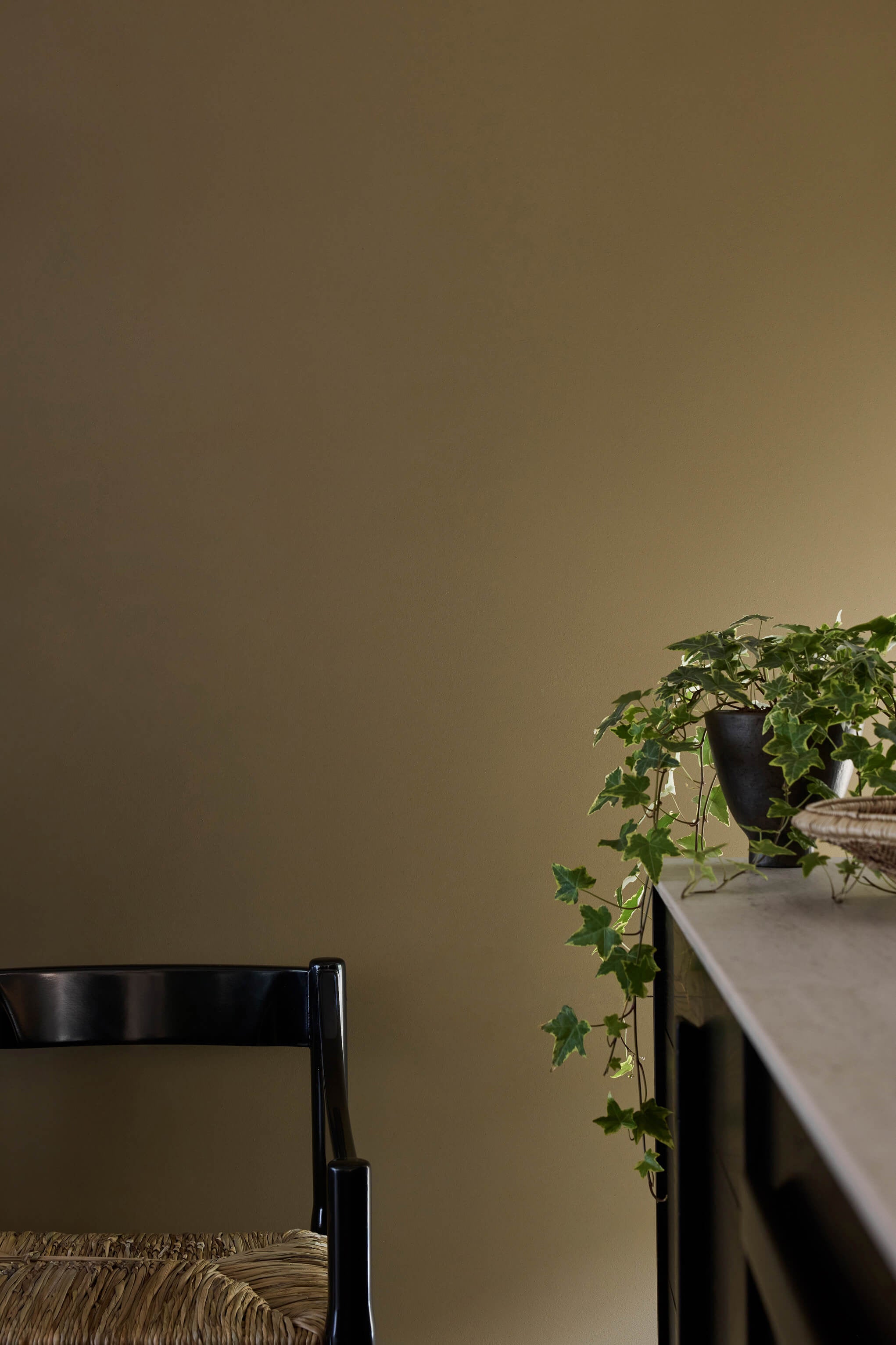 Little Greene | Light Bronze Green™