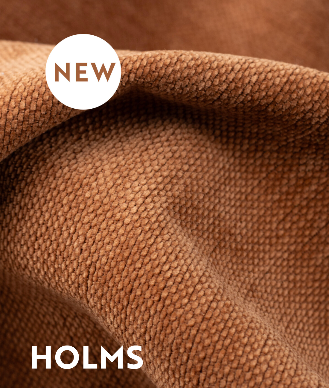 HOLMS