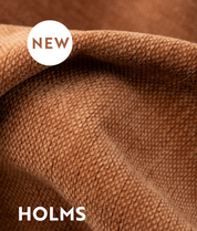 HOLMS