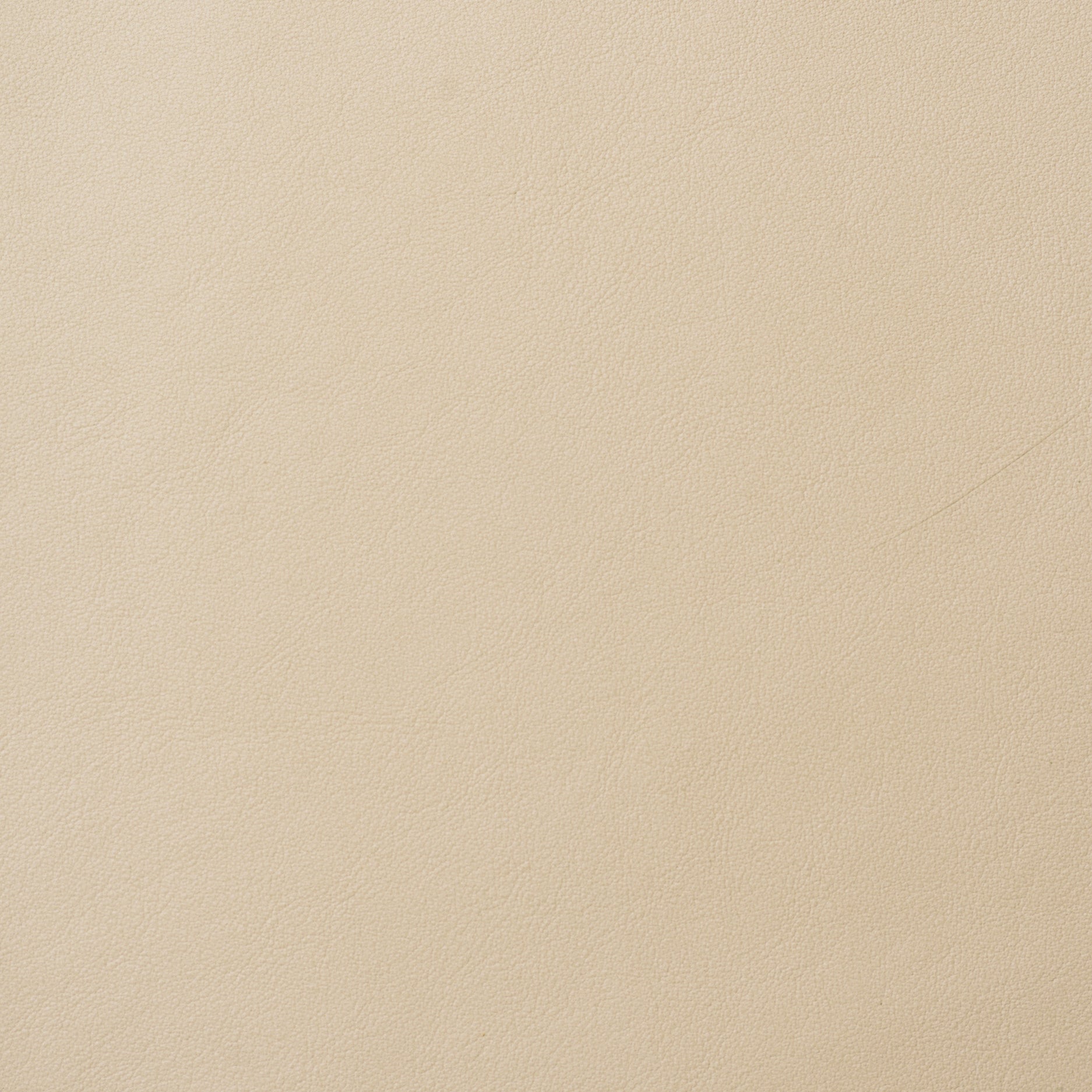 ELMOLEATHER_ELMOSOFT_02092.jpg