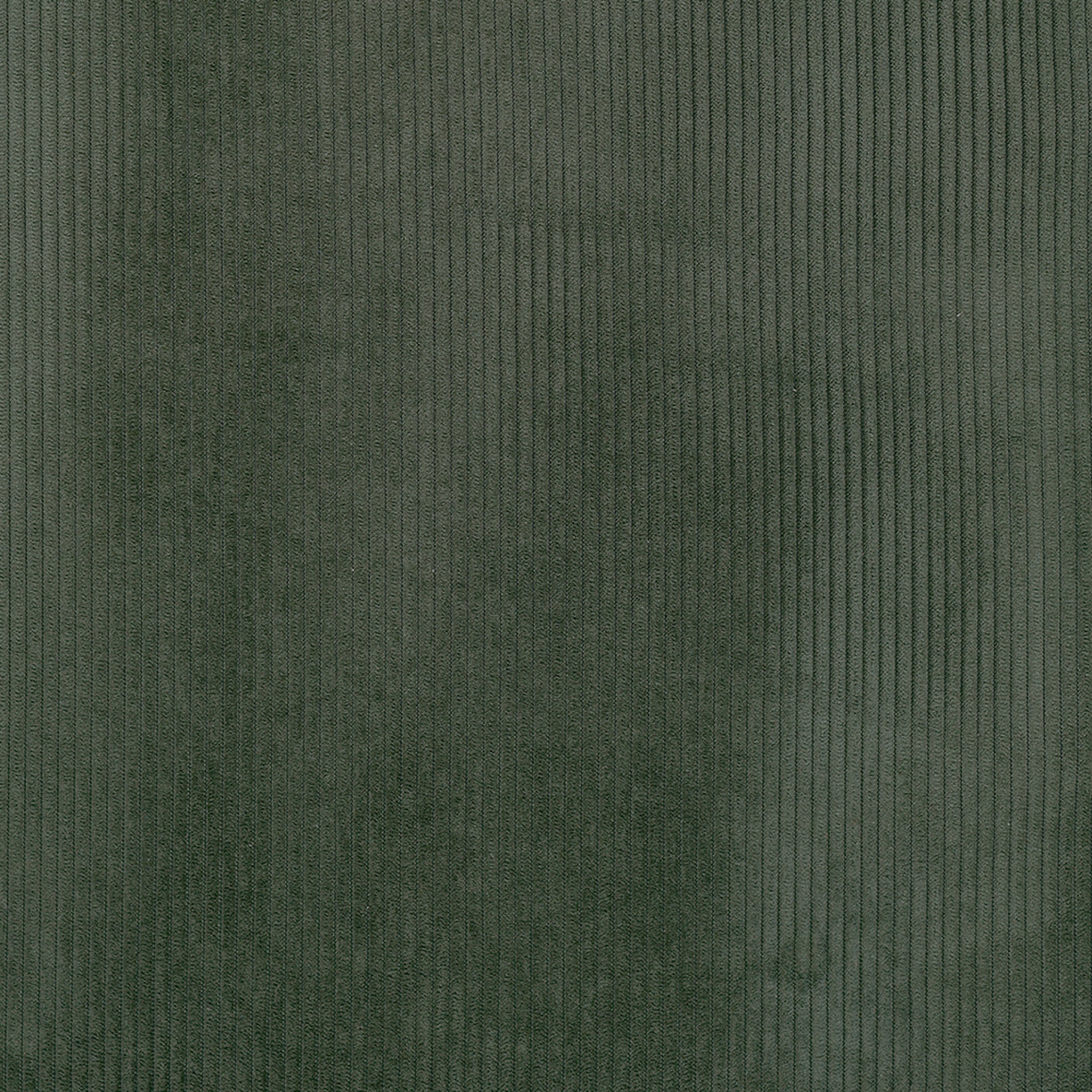 FJORD