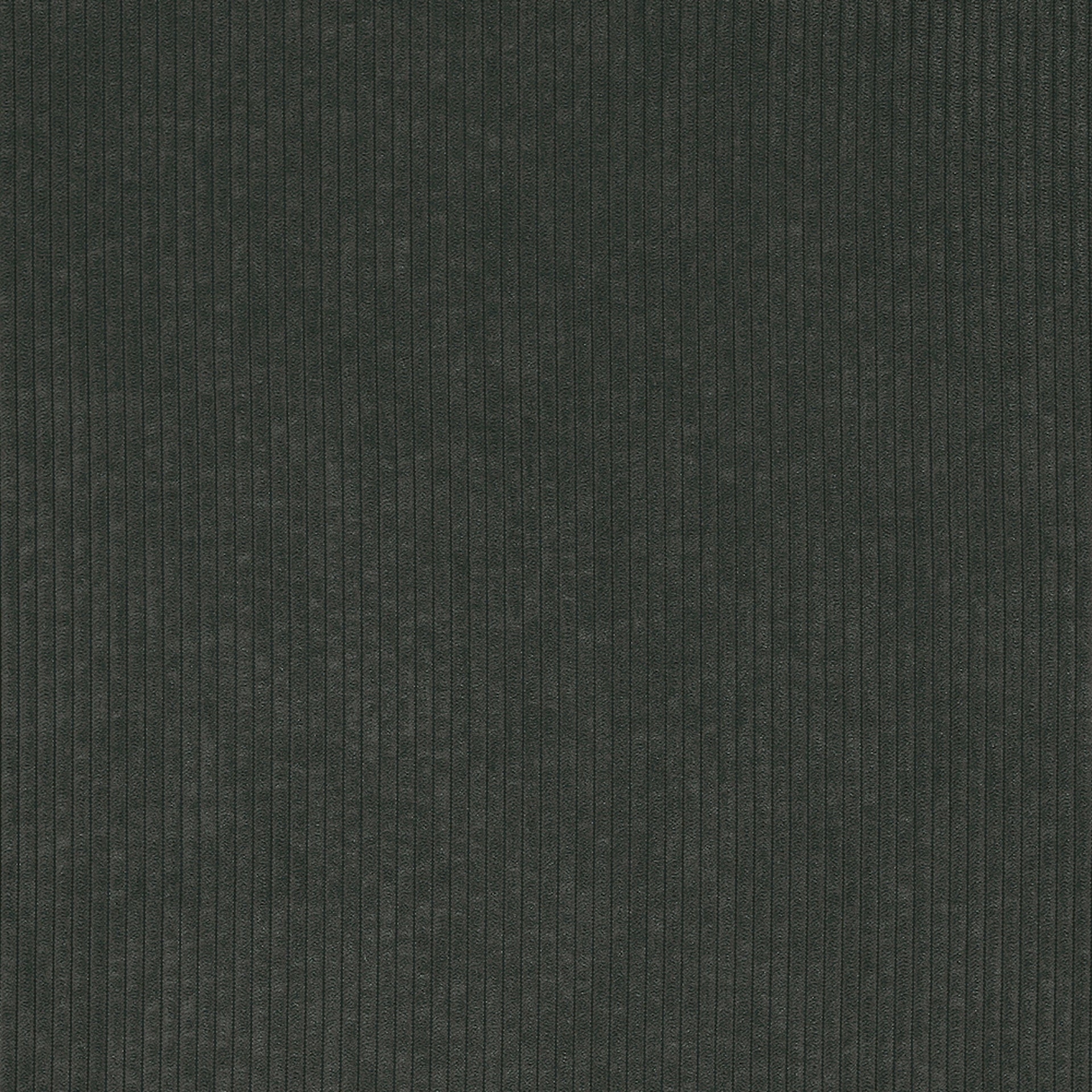 FJORD