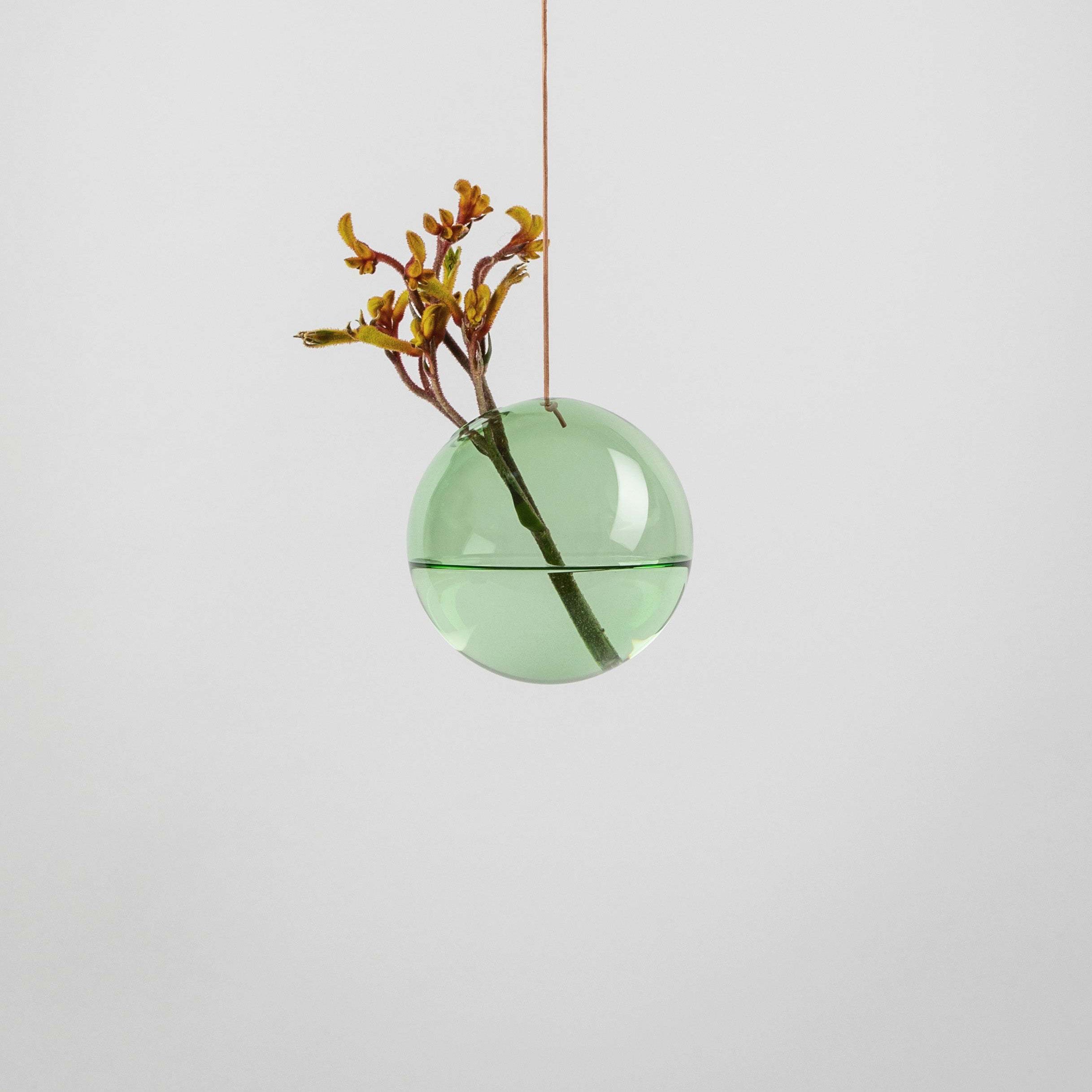 HANGINGFLOWERBUBBLEMEDIUMGREENprimary_7d55f9eb-43e0-4d4a-aeae-6f1c5792de05.jpg