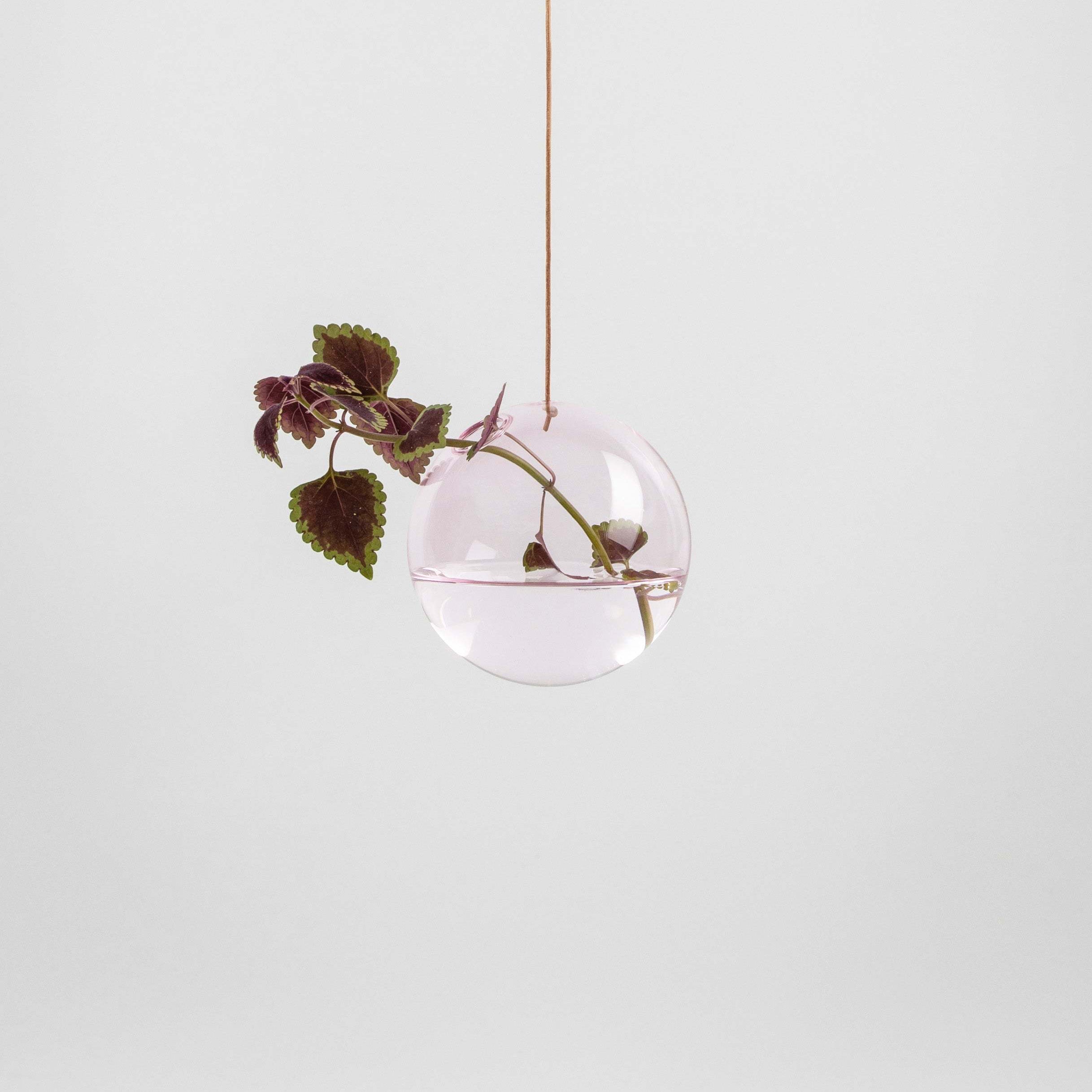 Studio About | HANGING FLOWER BUBBLE Medium