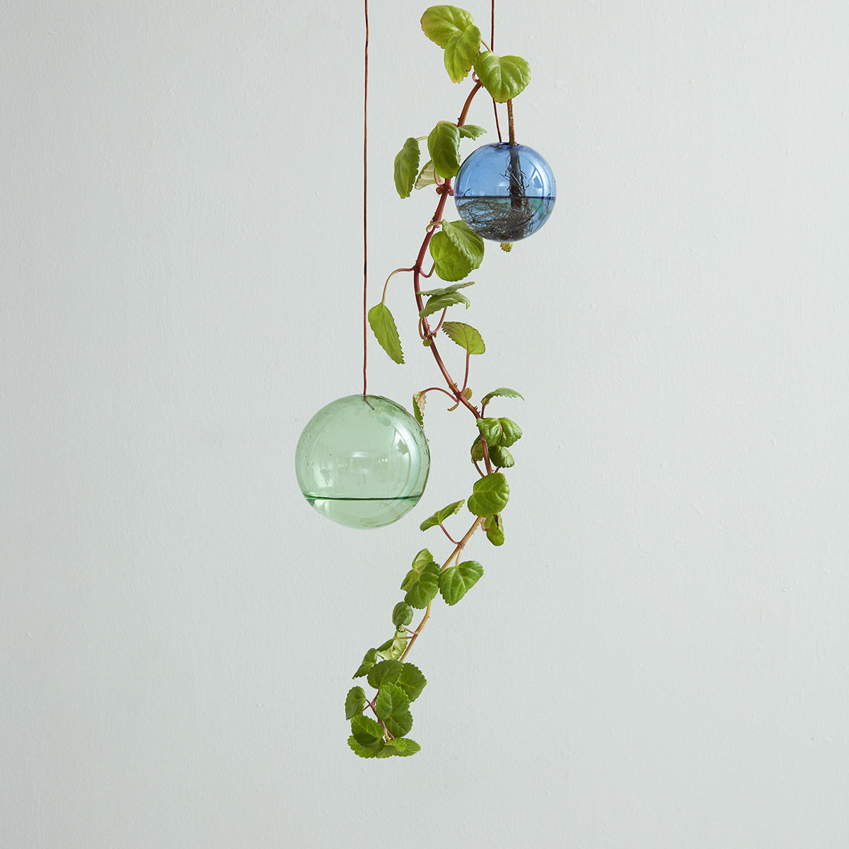 HANGING_FLOWER_BUBBLE_MEDIUM_GREEN_HANGING_FLOWER_BUBBLE_MEDIUM_GREEN_11020G_6.jpg