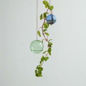 Studio About | HANGING FLOWER BUBBLE Medium