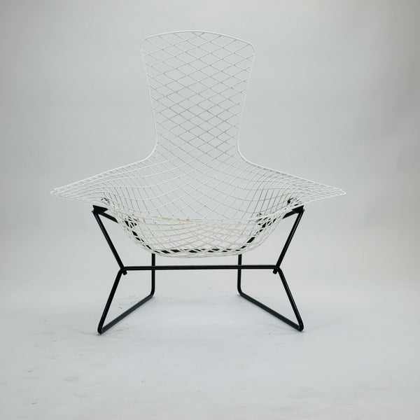 Knoll Intl. | Bertoia Bird Chair