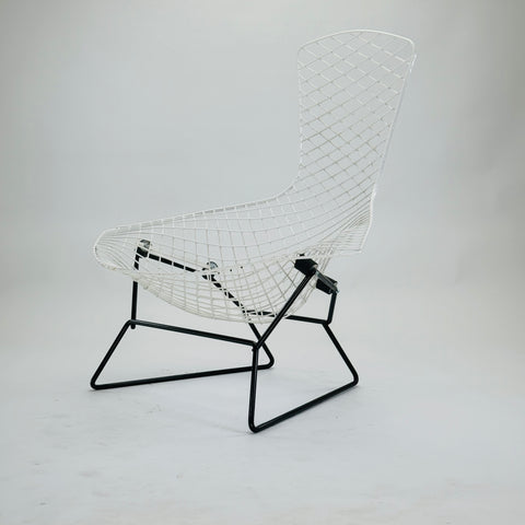 Knoll Intl. | Bertoia Bird Chair