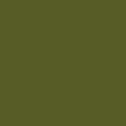 Little Greene | Jewel Beetle™