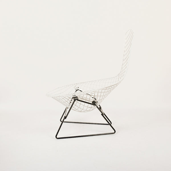 Knoll Intl. | Bertoia Bird Chair