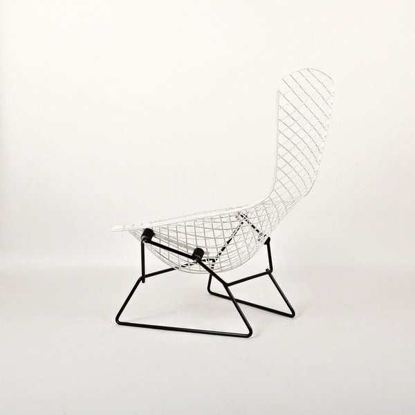 Knoll Intl. | Bertoia Bird Chair