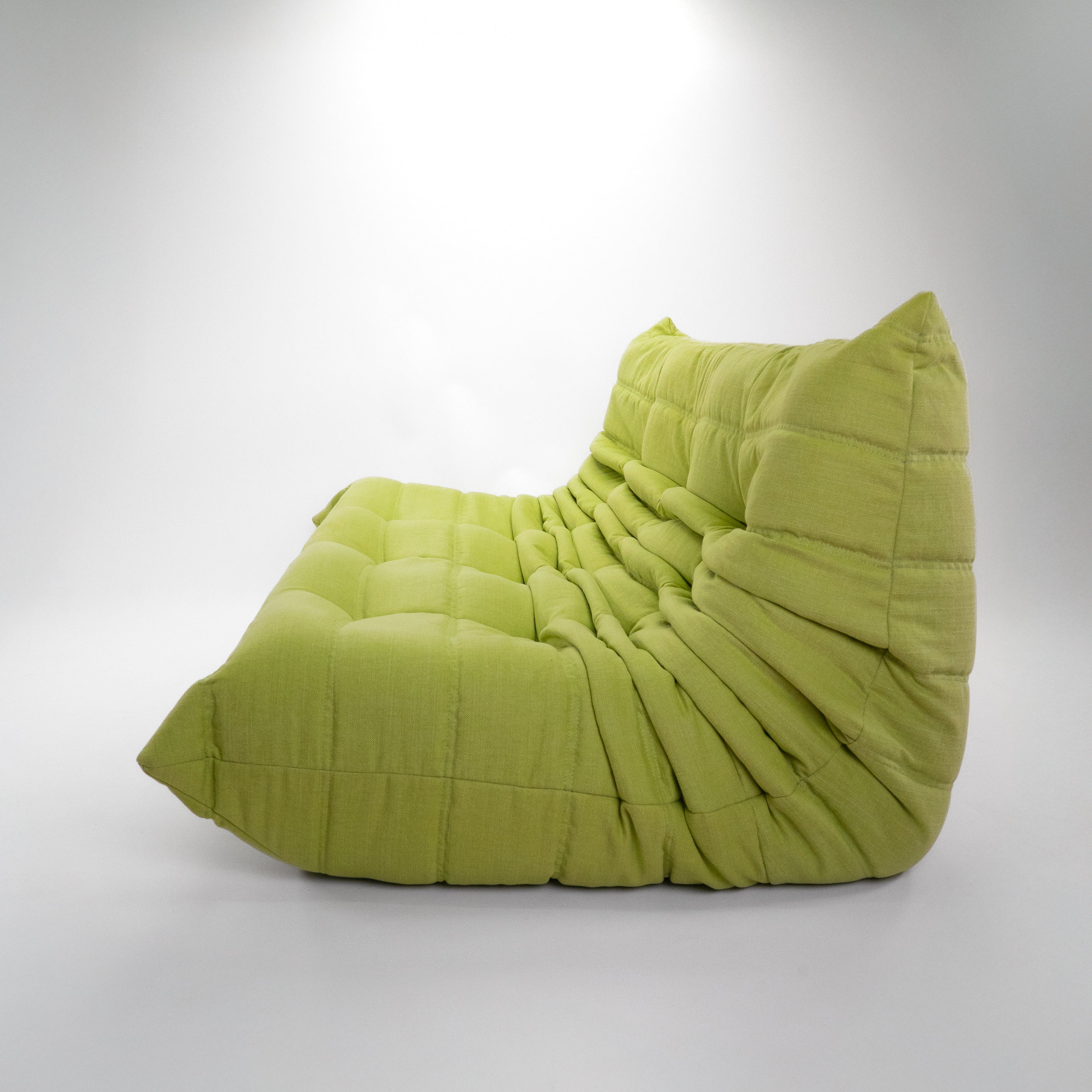 Togo2Sitzer-LigneRoset-AZustand-Variante-RomoLinara294-Gooseberry-02.jpg
