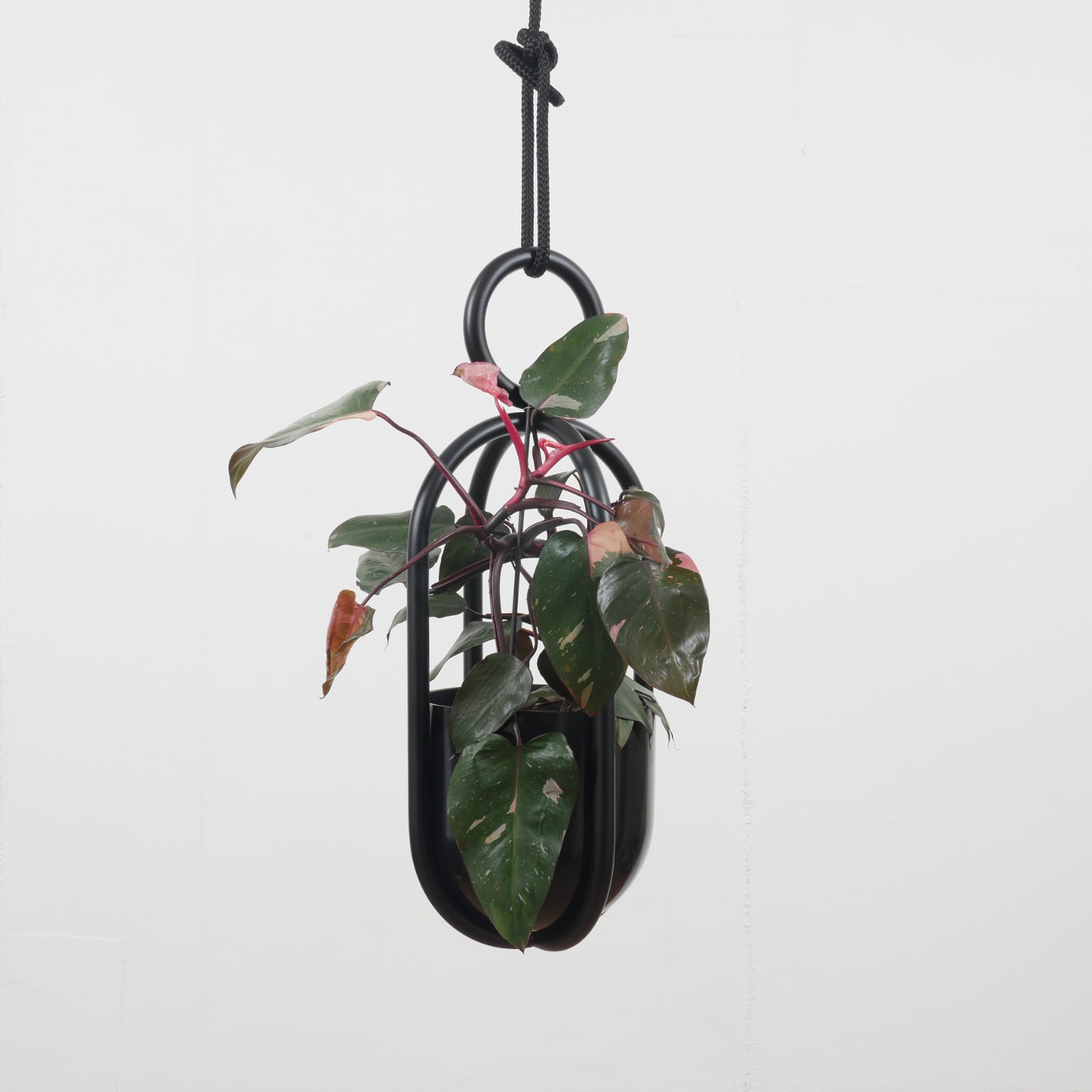 Atelier Hausmann | Blumenampel
