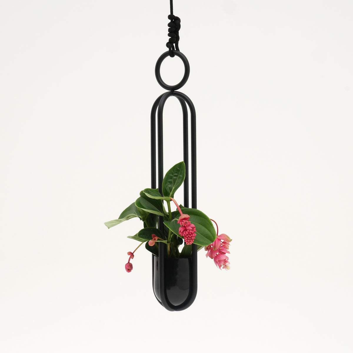 Atelier Hausmann | Blumenampel