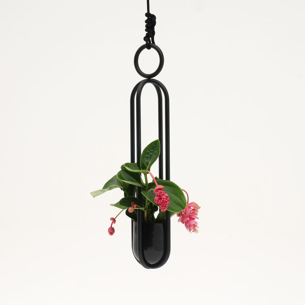 Blumenampel | Atelier Haussmann